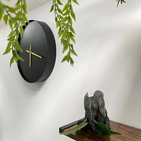 Ng Prestige L Lille L Gare L Cassel - Netflix - Wifi * Roubaix