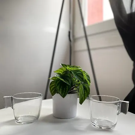 Ng Prestige L Lille L Gare L Cassel - Netflix - Wifi Apartment *