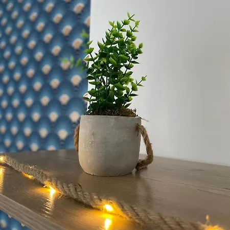 Ng Prestige L Lille L Gare L Cassel - Netflix - Wifi