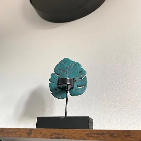 Apartment Ng Prestige L Lille L Gare L Cassel - Netflix - Wifi