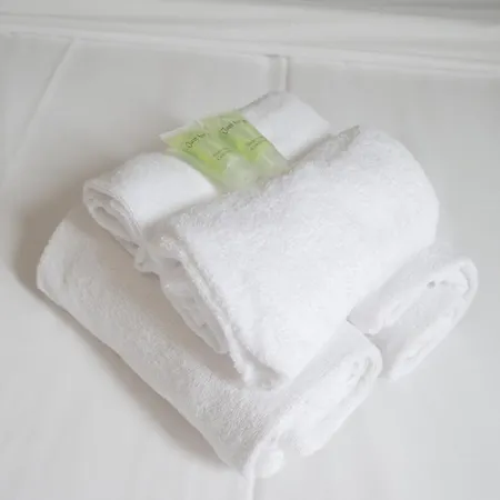 Ng Prestige L Lille L Gare L Cassel - Netflix - Wifi * Roubaix