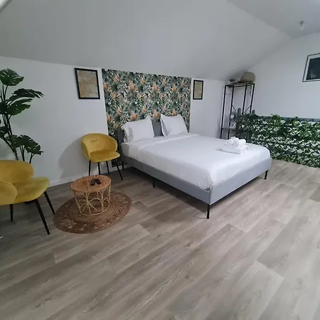 Ng Prestige L Lille L Gare L Cassel - Netflix - Wifi Lejlighed *
