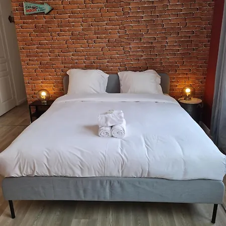 Apartment Ng Prestige L Lille L Gare L Cassel - Netflix - Wifi